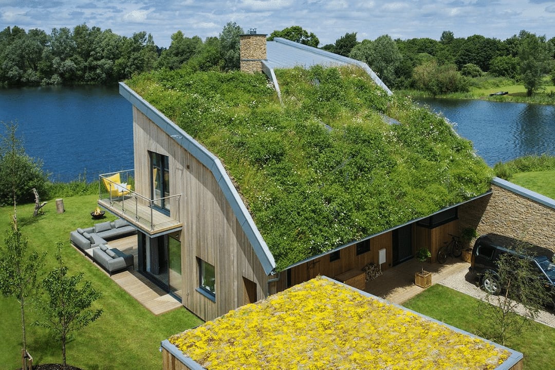 Eco-Friendly Woodland Home Remodel