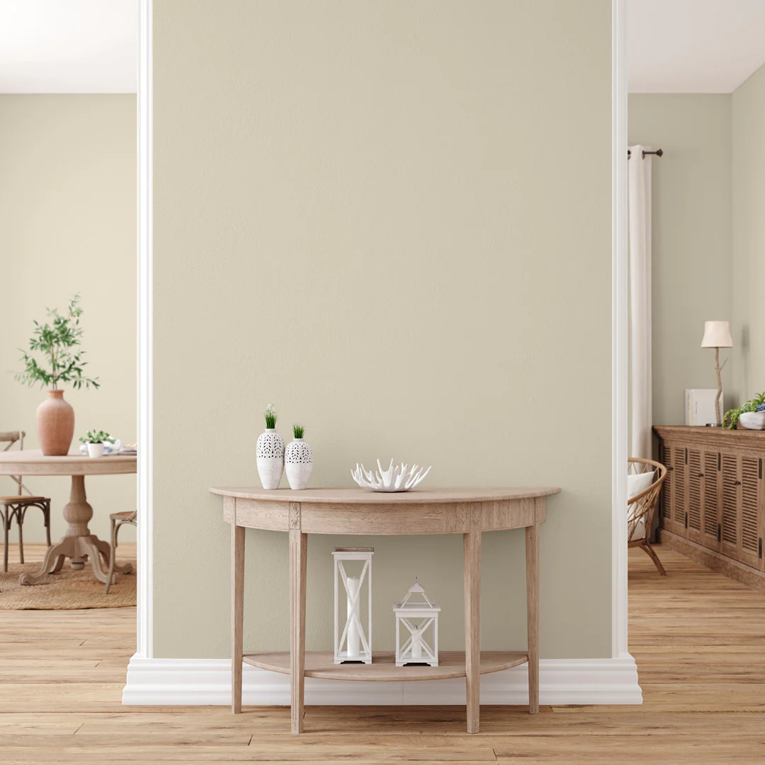 Oatmeal Beige Paint