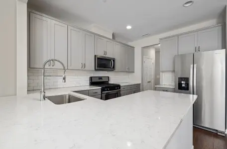 Luxury Kitchen cabinet Finish