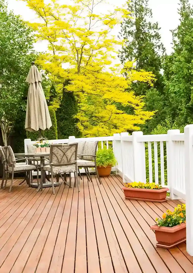 Full Home Renovation